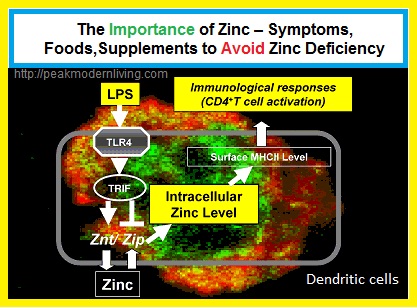 Headline of preventing zinc defiency symptoms