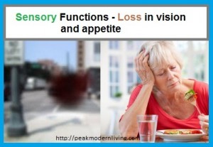 Symptoms of zinc defiency include loss of Vision and apetite